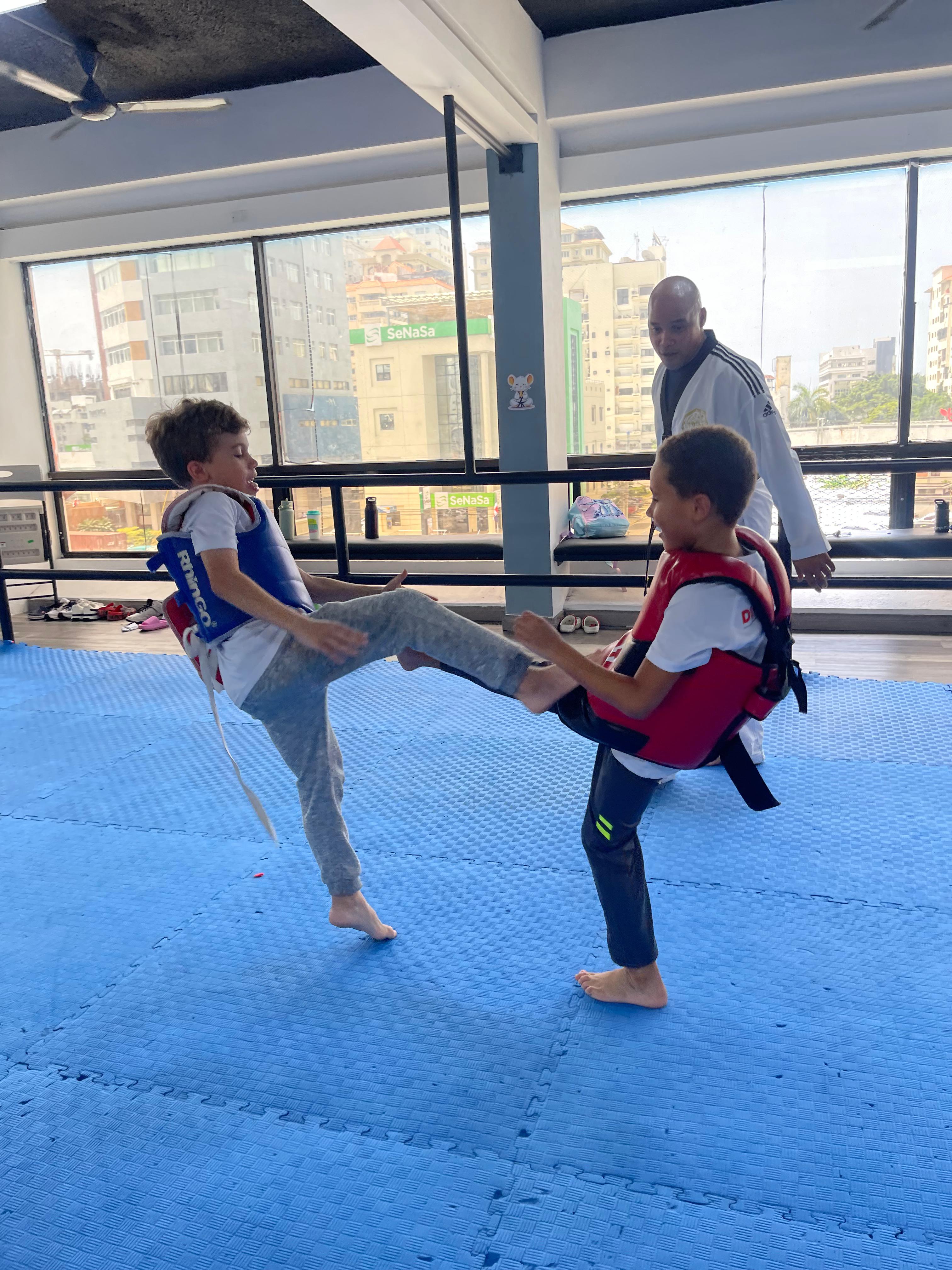 Taekwondo